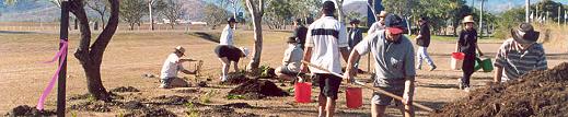 Community hard at work on Tree Day