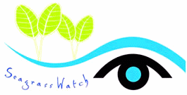 Visit SeagrassWatch.org for more information
