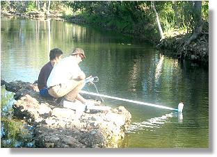 Monitoring Water Quality at Sachs Creek