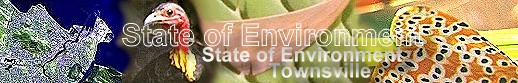 SOE-Townsville Banner