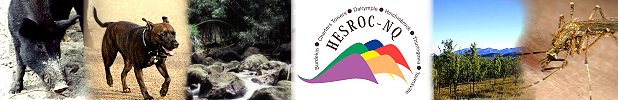 Hesroc-NQ.org.au - Health & Environment Regional Organisation of Councils.