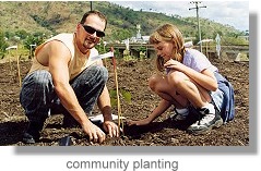 Community planting
